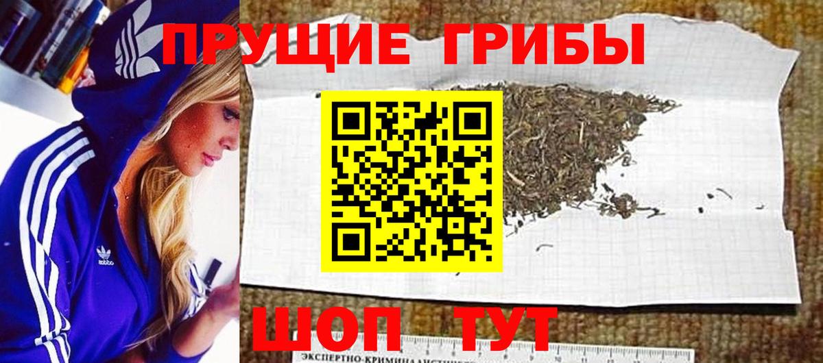Псилоцибиновые грибы Magic Shrooms Зима